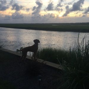 Meet your Posher, Lindsay